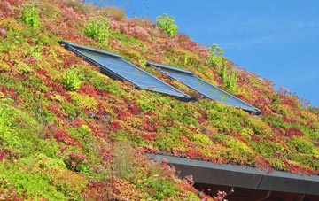 Cusbay living roof systems