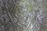 Cusbay fibreglass roof work