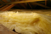 Cusbay pitch roof insulation